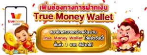 คู่มือฝากถอนวอเลทและการตรวจสอบธุรกรรมออนไลน์ปี 2026
